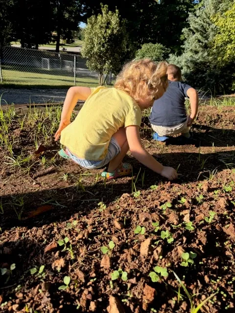 Child planting seeds in the school garden