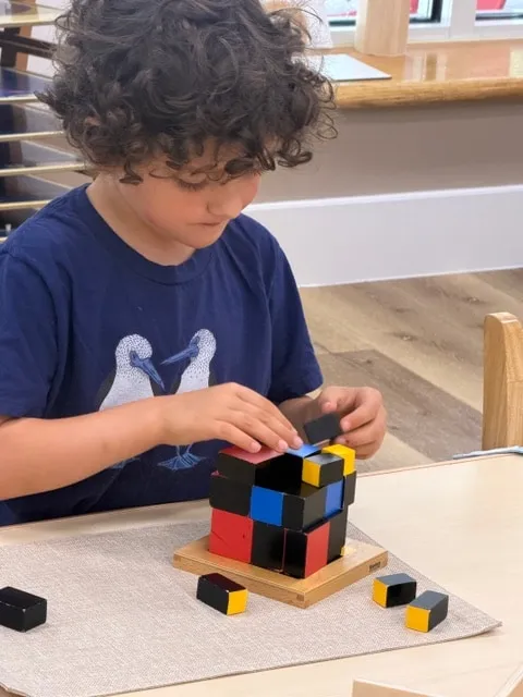 Boy working with the binomial cube