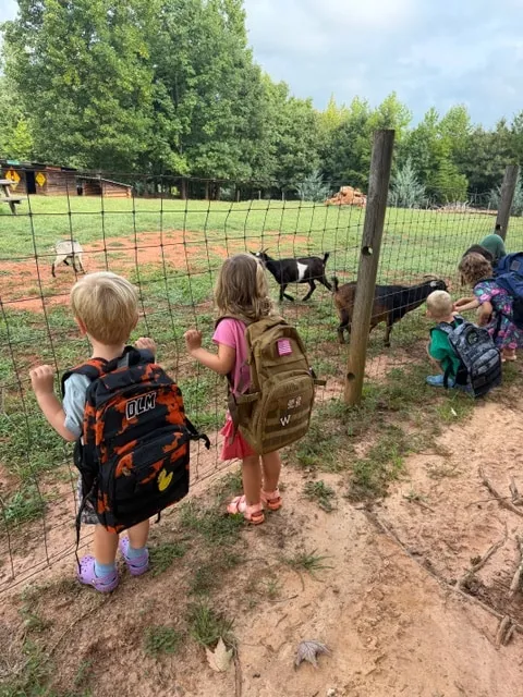 Children visiting the goats at the pasture fence